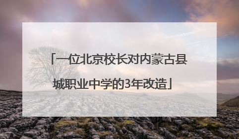 一位北京校长对内蒙古县城职业中学的3年改造