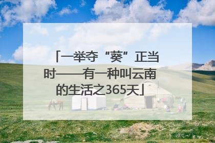 一举夺“葵”正当时——有一种叫云南的生活之365天