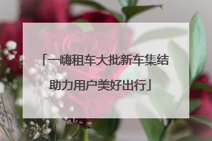 一嗨租车大批新车集结 助力用户美好出行