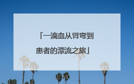 一滴血从臂弯到患者的漂流之旅