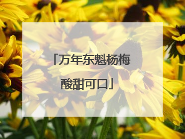 万年东魁杨梅 酸甜可口