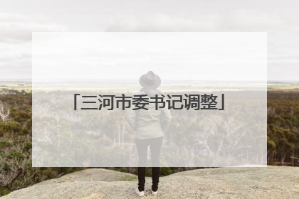 三河市委书记调整