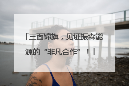 三面锦旗，见证振森能源的“非凡合作”！
