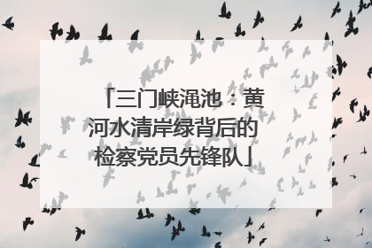 三门峡渑池：黄河水清岸绿背后的检察党员先锋队