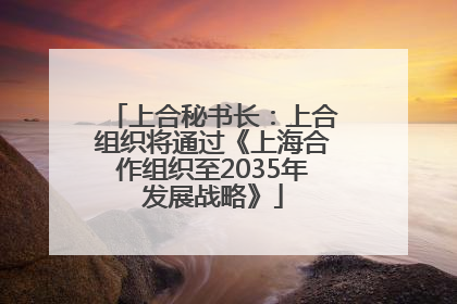 上合秘书长：上合组织将通过《上海合作组织至2035年发展战略》