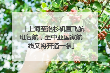 上海至洛杉矶直飞航班复航，至中亚国家航线又将开通一条