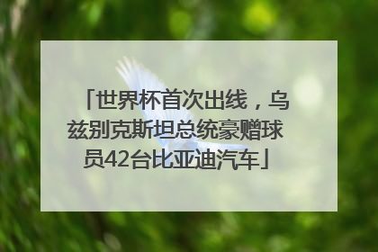 世界杯首次出线，乌兹别克斯坦总统豪赠球员42台比亚迪汽车