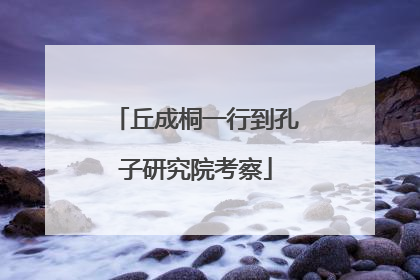 丘成桐一行到孔子研究院考察