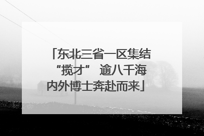 东北三省一区集结“揽才” 逾八千海内外博士奔赴而来