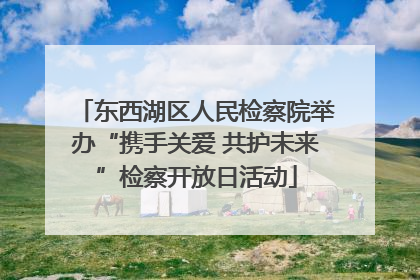 东西湖区人民检察院举办“携手关爱 共护未来”检察开放日活动