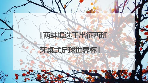 两蚌埠选手出征西班牙桌式足球世界杯