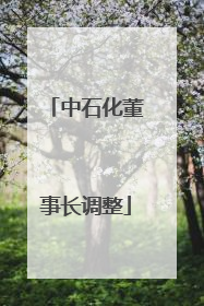 中石化董事长调整