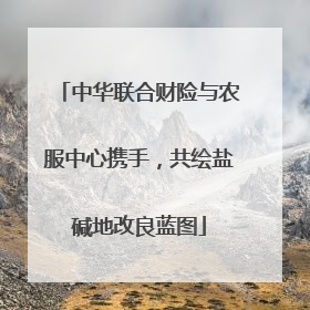 中华联合财险与农服中心携手，共绘盐碱地改良蓝图