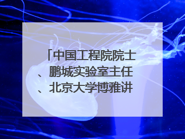 中国工程院院士、鹏城实验室主任、北京大学博雅讲席教授高文：“以人为本 智能向善” 推动文化与科技相生相促｜聚焦2025文化强国建设高峰论坛