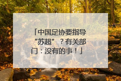 中国足协要指导“苏超”？有关部门：没有的事！