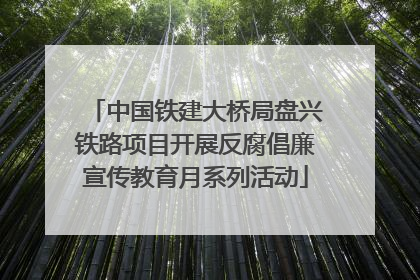 中国铁建大桥局盘兴铁路项目开展反腐倡廉宣传教育月系列活动