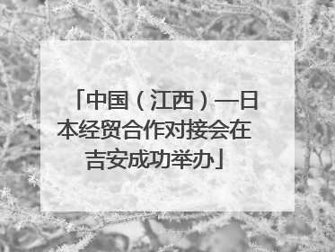 中国（江西）—日本经贸合作对接会在吉安成功举办