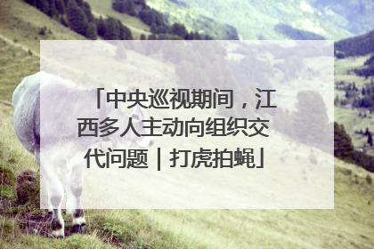 中央巡视期间，江西多人主动向组织交代问题｜打虎拍蝇