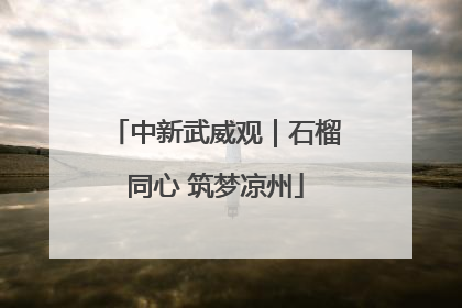 中新武威观｜石榴同心 筑梦凉州
