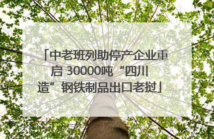 中老班列助停产企业重启 30000吨“四川造”钢铁制品出口老挝