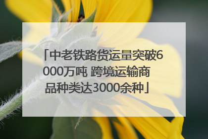 中老铁路货运量突破6000万吨 跨境运输商品种类达3000余种