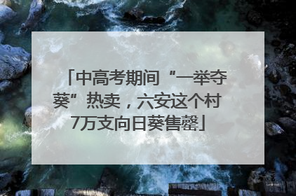 中高考期间“一举夺葵”热卖，六安这个村7万支向日葵售罄