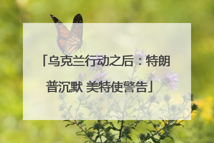 乌克兰行动之后：特朗普沉默 美特使警告