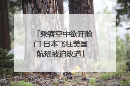 乘客空中欲开舱门 日本飞往美国航班被迫改道