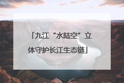 九江“水陆空”立体守护长江生态链