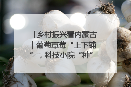 乡村振兴看内蒙古｜葡萄草莓“上下铺”，科技小院“种”出三倍效益