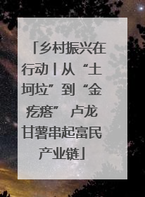 乡村振兴在行动丨从“土坷垃”到“金疙瘩” 卢龙甘薯串起富民产业链