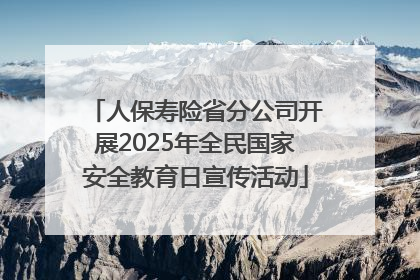 人保寿险省分公司开展2025年全民国家安全教育日宣传活动
