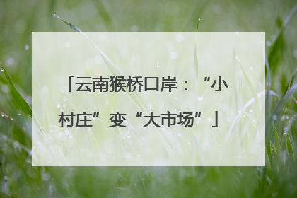 云南猴桥口岸：“小村庄”变“大市场”