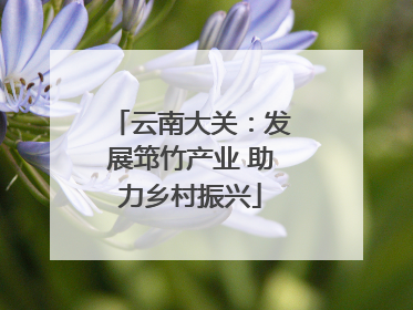 云南大关：发展筇竹产业 助力乡村振兴