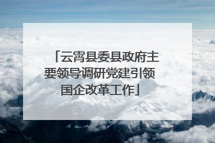 云霄县委县政府主要领导调研党建引领国企改革工作