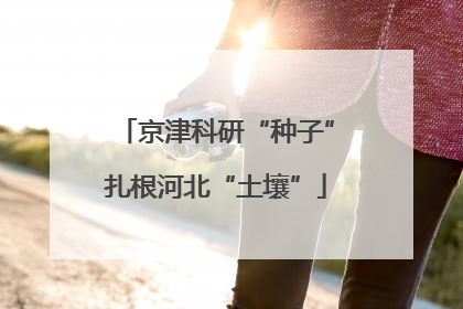 京津科研“种子”扎根河北“土壤”