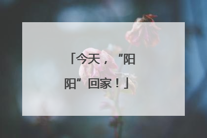 今天，“阳阳”回家！