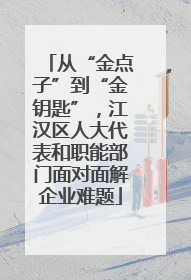 从“金点子”到“金钥匙”，江汉区人大代表和职能部门面对面解企业难题