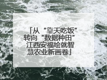从“靠天吃饭”转向“数据种田” 江西安福绘就智慧农业新画卷