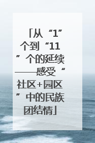 从“1”个到“11”个的延续——感受“社区+园区”中的民族团结情
