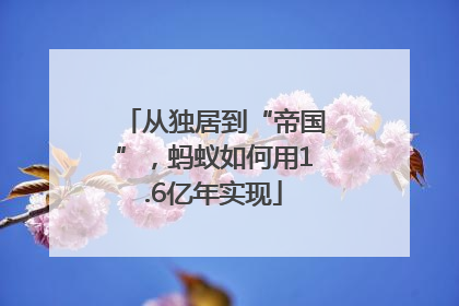 从独居到“帝国”，蚂蚁如何用1.6亿年实现
