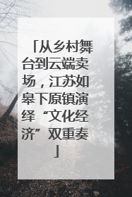 从乡村舞台到云端卖场，江苏如皋下原镇演绎“文化经济”双重奏