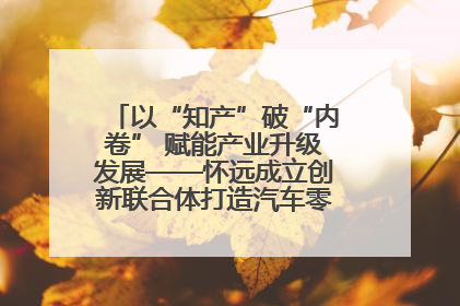 以“知产”破“内卷” 赋能产业升级发展——怀远成立创新联合体打造汽车零部件产业新高地