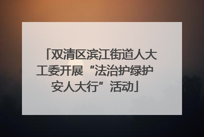 双清区滨江街道人大工委开展“法治护绿护安人大行”活动