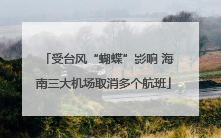 受台风“蝴蝶”影响 海南三大机场取消多个航班