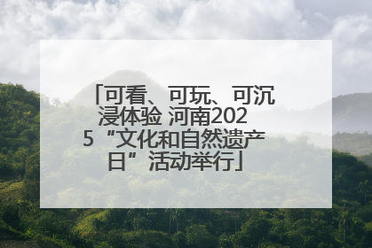 可看、可玩、可沉浸体验 河南2025“文化和自然遗产日”活动举行