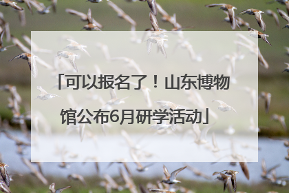 可以报名了！山东博物馆公布6月研学活动