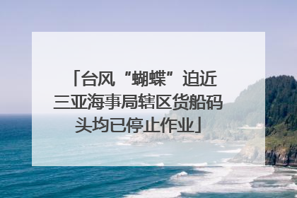 台风“蝴蝶”迫近 三亚海事局辖区货船码头均已停止作业
