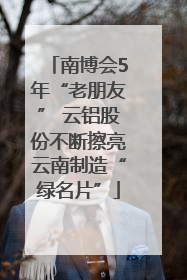 南博会5年“老朋友” 云铝股份不断擦亮云南制造“绿名片”