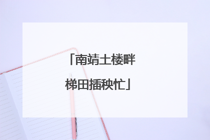 南靖土楼畔 梯田插秧忙